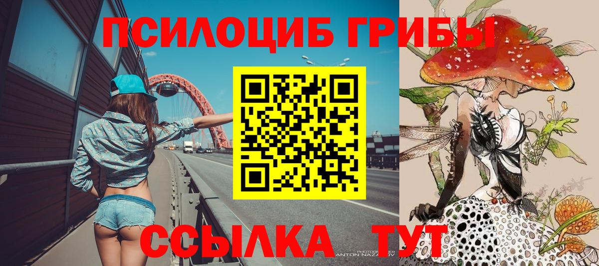 Зерноград  Псилоцибиновые грибы Psilocybine cubensis  Вход с VPN 